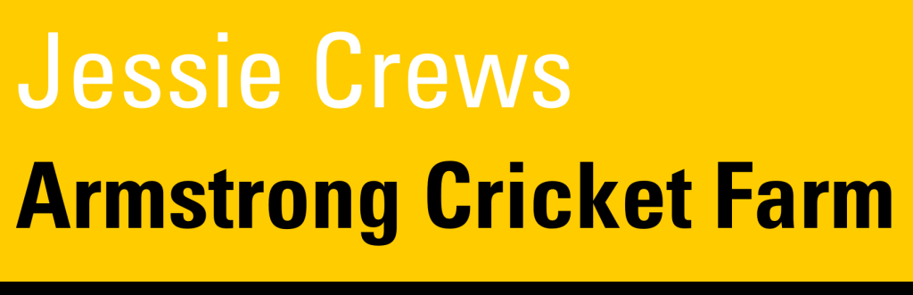 Customer Testimonials